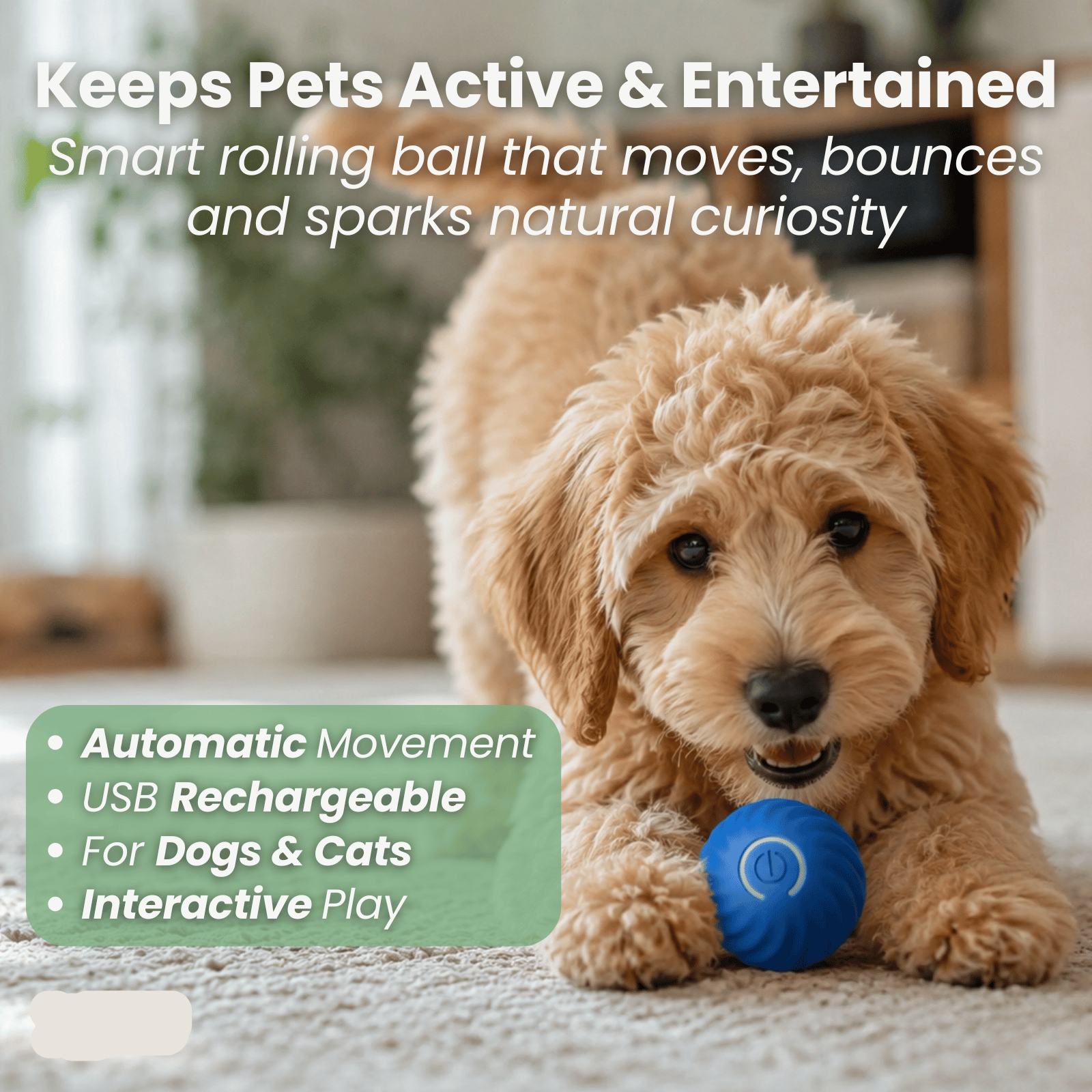 Dailypets Electric Chase Ball for Pets with Unpredictable Movement and Easy Grip
