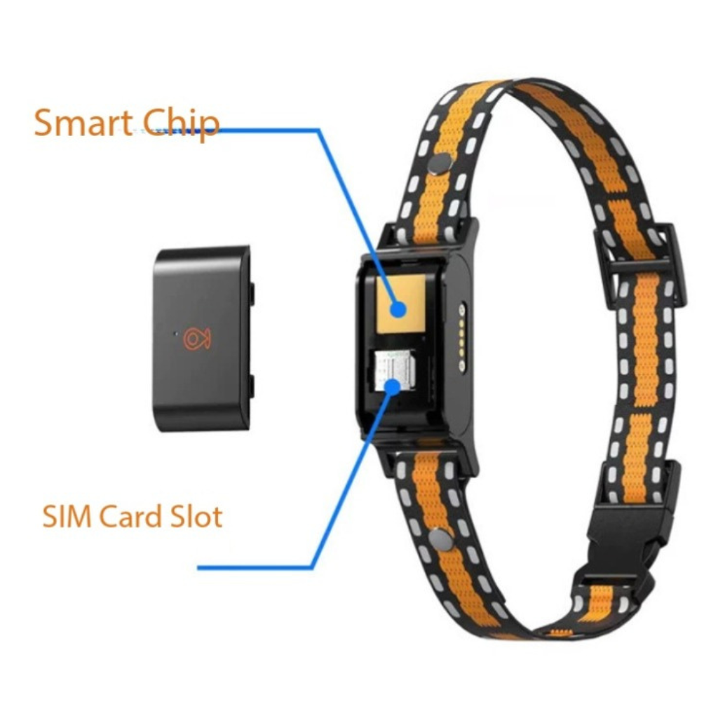 Dailypets Waterproof 4G GPS Pet Tracker with Real-Time Tracking and Adjustable Collar