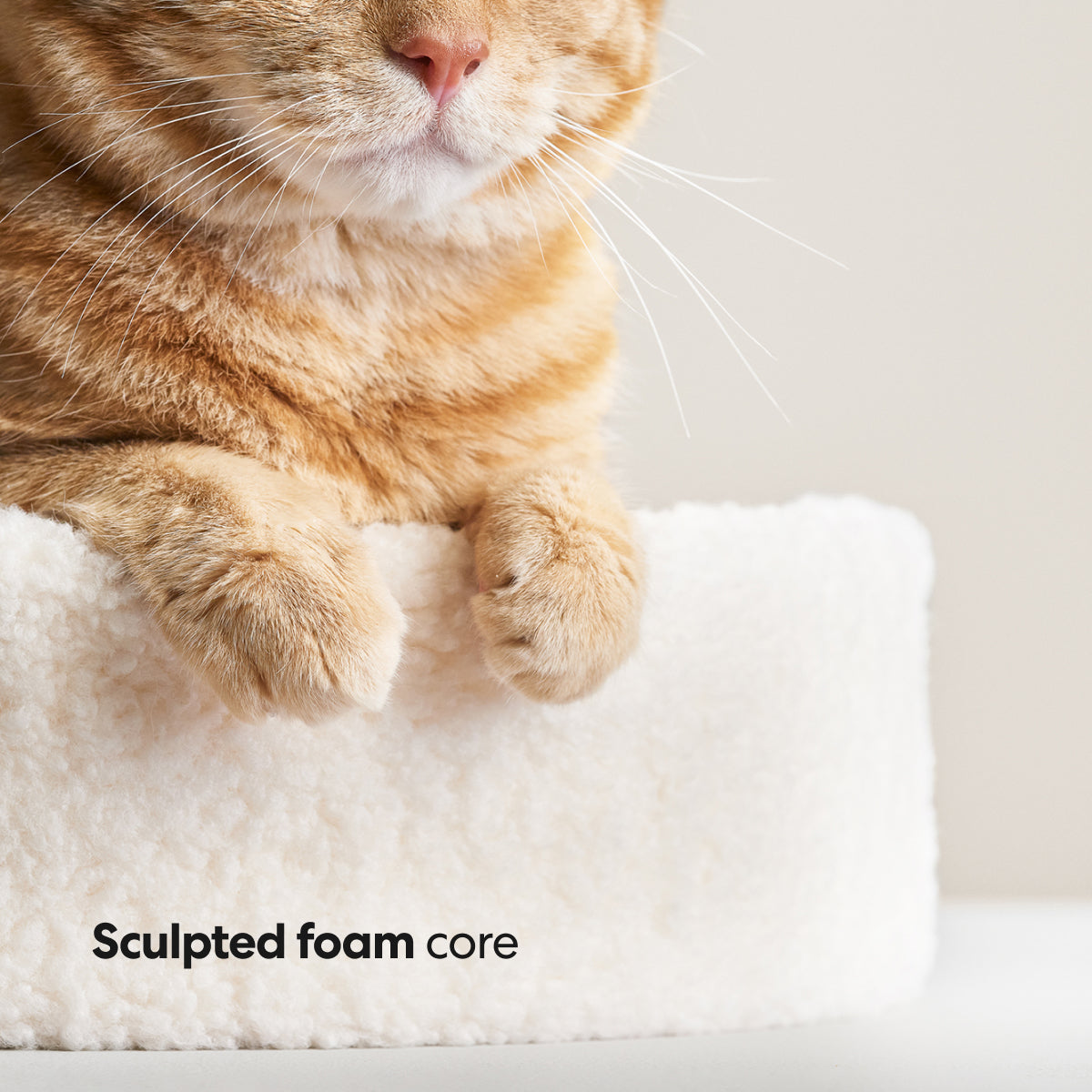 Dailypets Cozy Nesting Cat Bed with Plush Cover