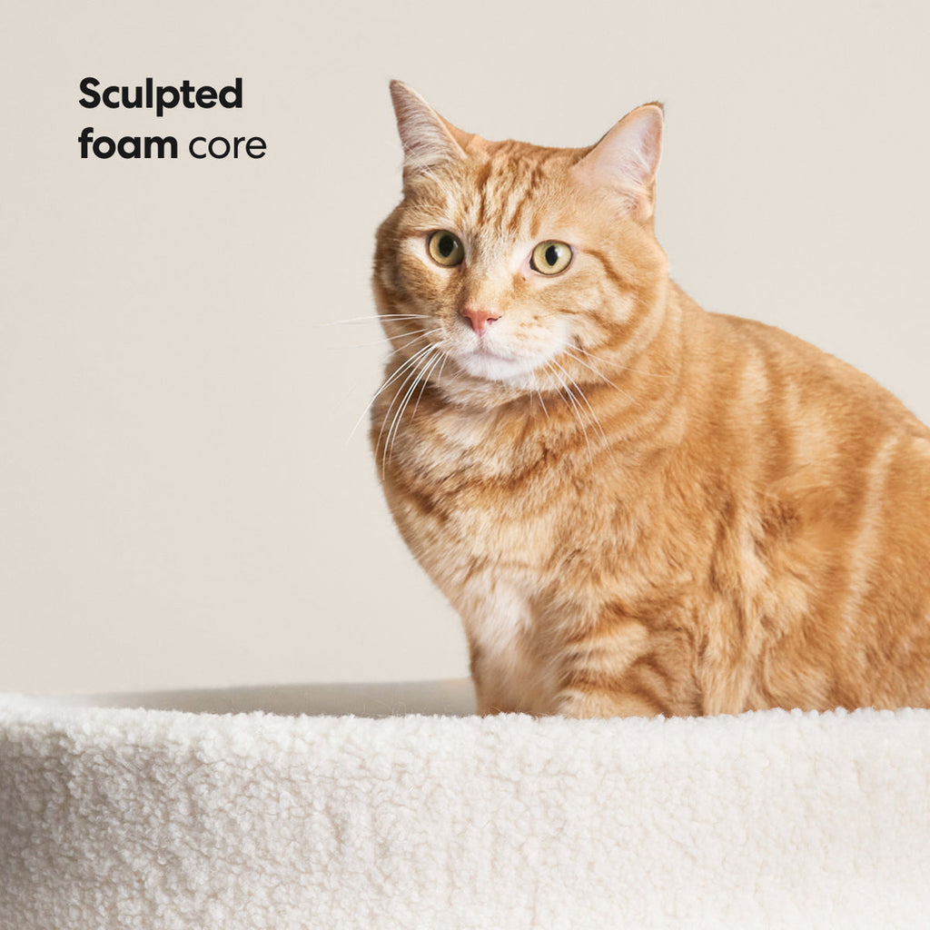 Dailypets Cozy Nesting Cat Bed with Plush Cover