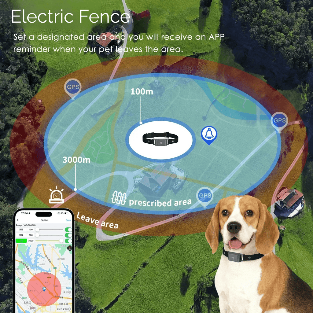 Dailypets Waterproof 4G GPS Pet Tracker with Real-Time Tracking and Adjustable Collar