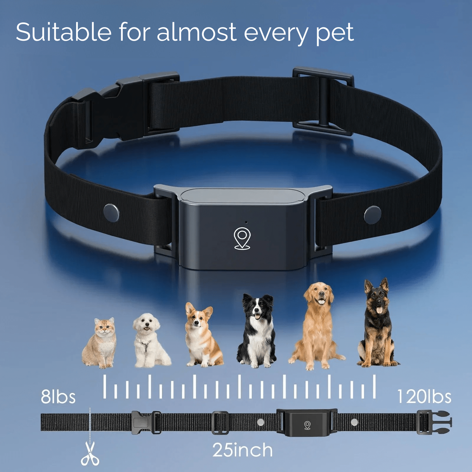 Dailypets Waterproof 4G GPS Pet Tracker with Real-Time Tracking and Adjustable Collar