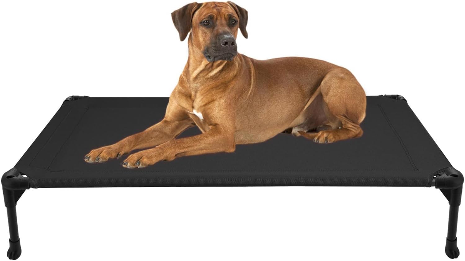 Poupipets Breathable Elevated Dog Cot with Teslin Mesh and Stable Steel Frame