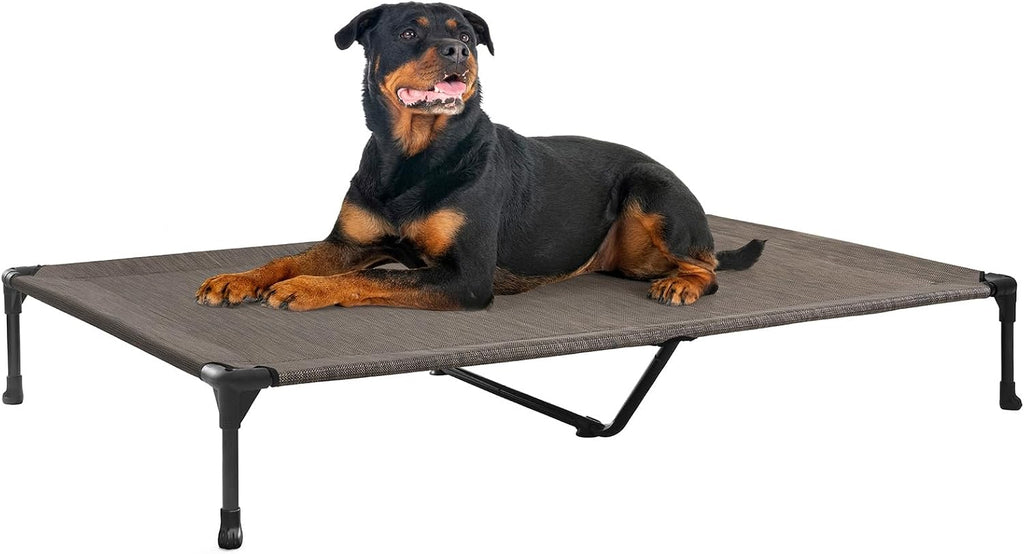Poupipets Breathable Elevated Dog Cot with Teslin Mesh and Stable Steel Frame