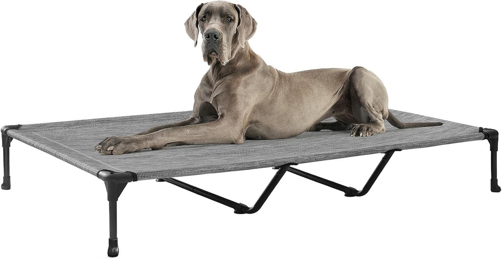 Poupipets Breathable Elevated Dog Cot with Teslin Mesh and Stable Steel Frame