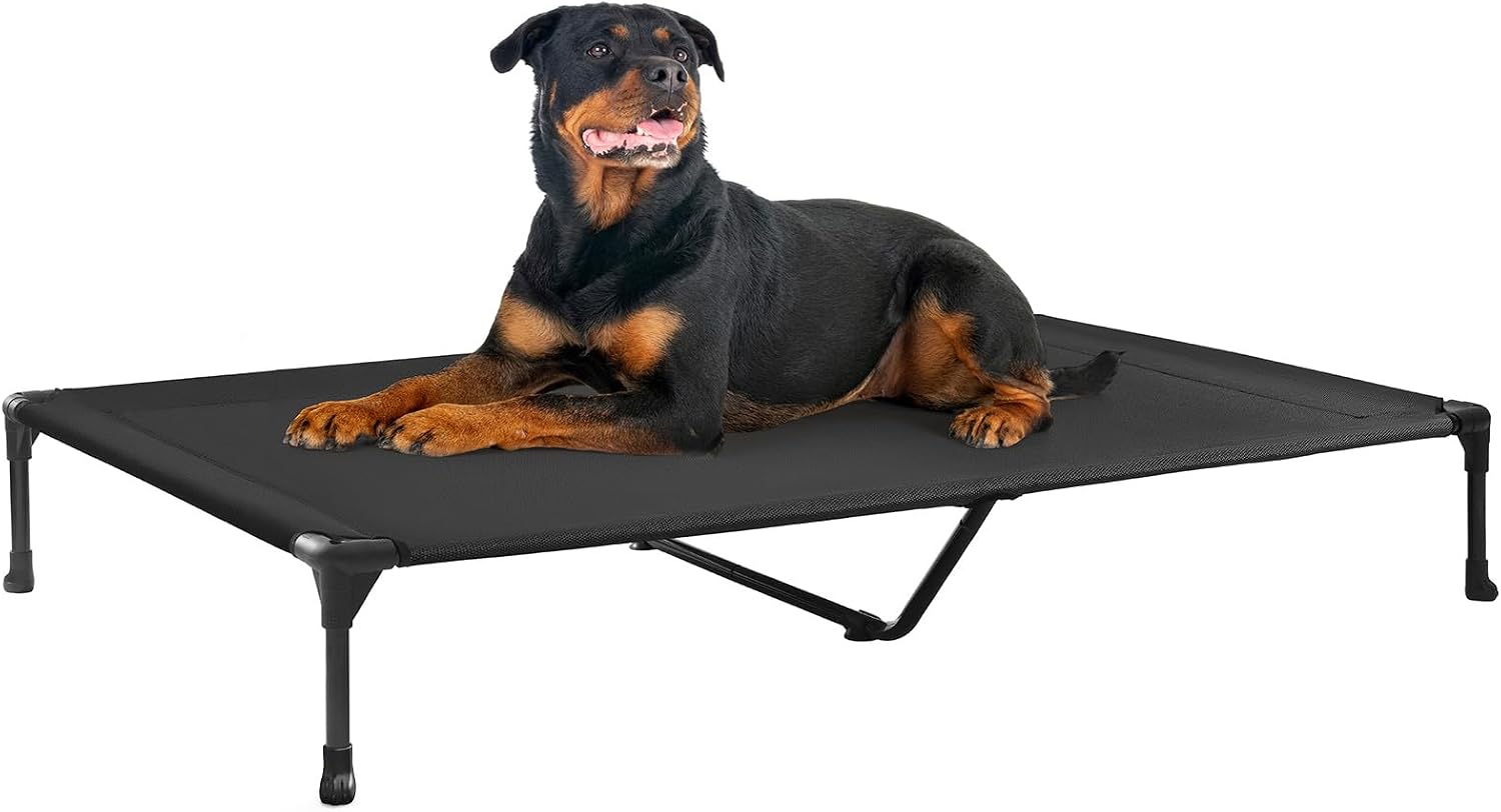 Poupipets Breathable Elevated Dog Cot with Teslin Mesh and Stable Steel Frame