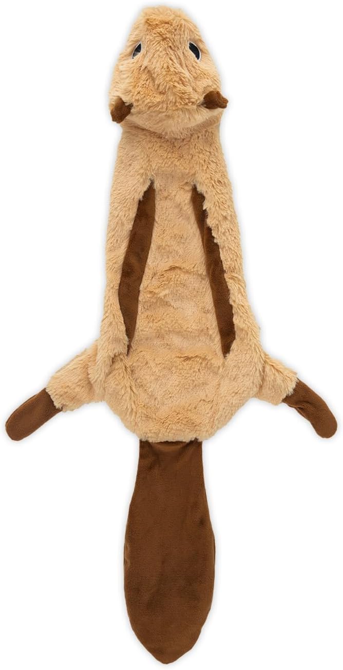 Dailypets Stuffless Wild Duck Plush Dog Toy with Dual Squeakers for Interactive Play