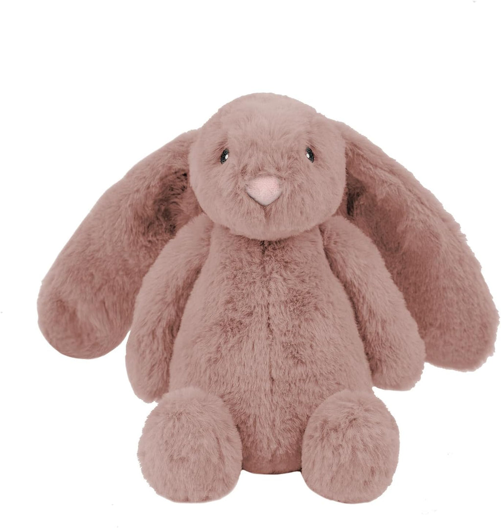 Dailypets Stuffless Wild Duck Plush Dog Toy with Dual Squeakers for Interactive Play