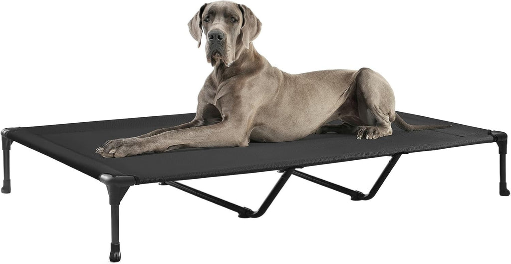 Poupipets Breathable Elevated Dog Cot with Teslin Mesh and Stable Steel Frame