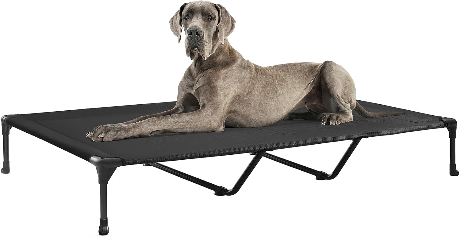 Poupipets Breathable Elevated Dog Cot with Teslin Mesh and Stable Steel Frame