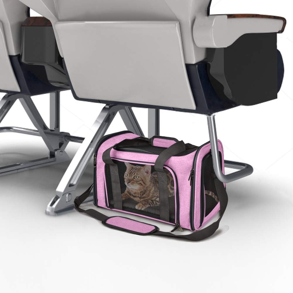 Poupipets Premium Soft Pet Carrier with Mesh Windows and Cozy Travel Mat