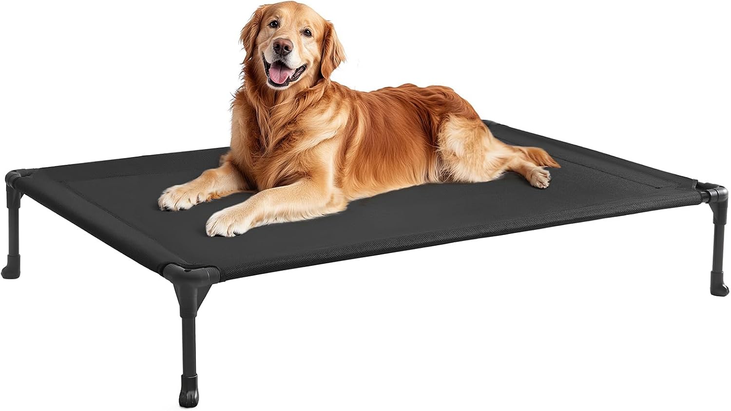 Poupipets Breathable Elevated Dog Cot with Teslin Mesh and Stable Steel Frame