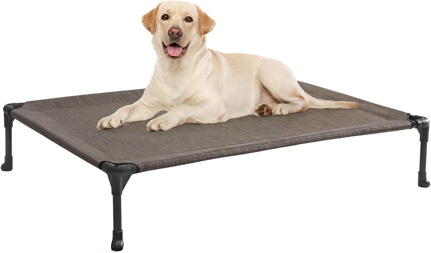 Poupipets Breathable Elevated Dog Cot with Teslin Mesh and Stable Steel Frame