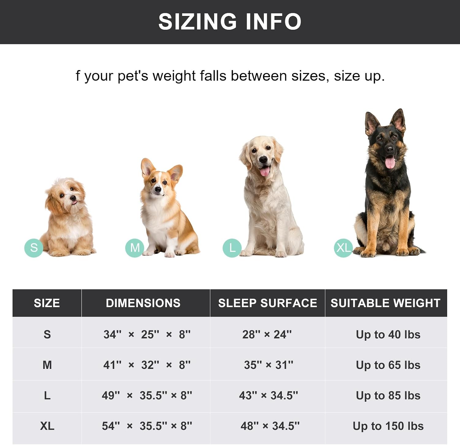 Poupipets Large Dog Hammock Bed with Ventilated Fabric and Stable Steel Frame