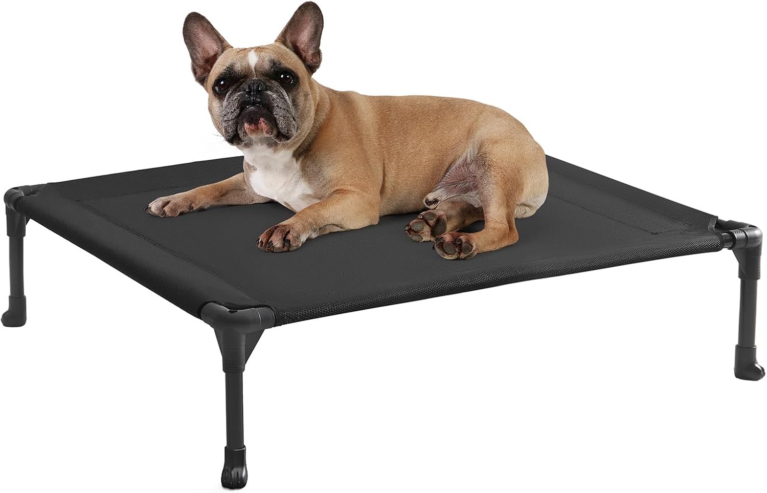 Poupipets Breathable Elevated Dog Cot with Teslin Mesh and Stable Steel Frame