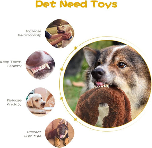 Dailypets 5 Piece Stuffless Plush Dog Toy Set with Dual Squeakers for Interactive Play