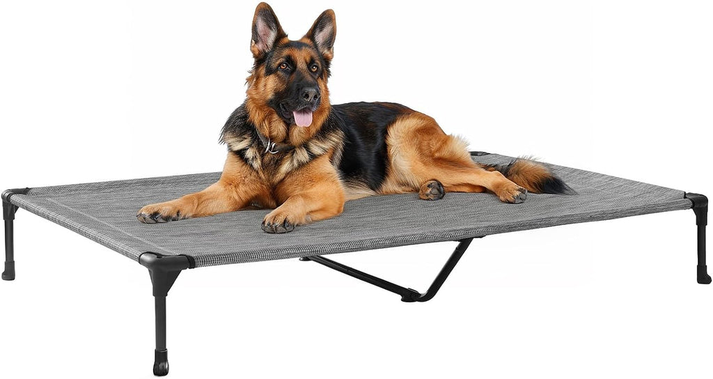 Poupipets Breathable Elevated Dog Cot with Teslin Mesh and Stable Steel Frame