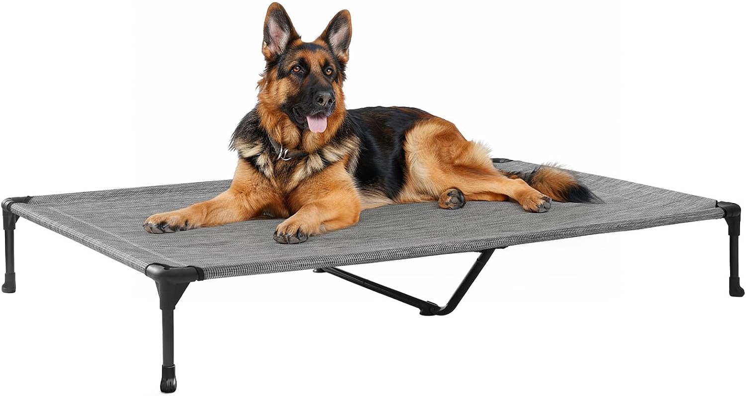 Poupipets Breathable Elevated Dog Cot with Teslin Mesh and Stable Steel Frame