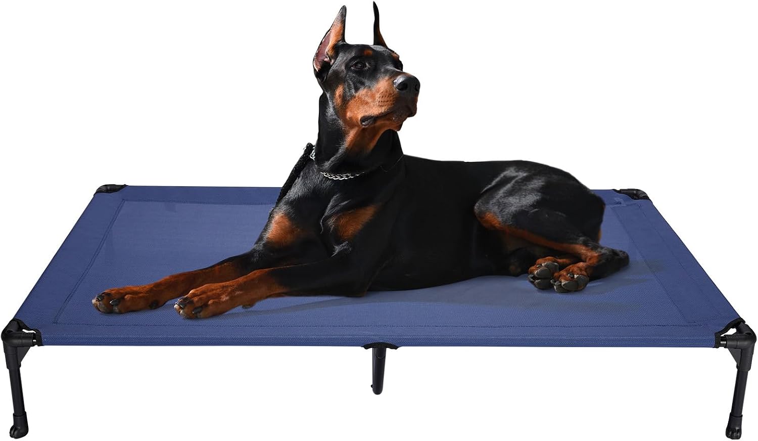 Poupipets Breathable Elevated Dog Cot with Teslin Mesh and Stable Steel Frame