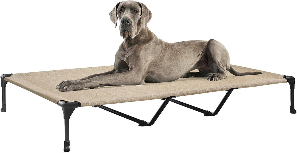 Poupipets Breathable Elevated Dog Cot with Teslin Mesh and Stable Steel Frame