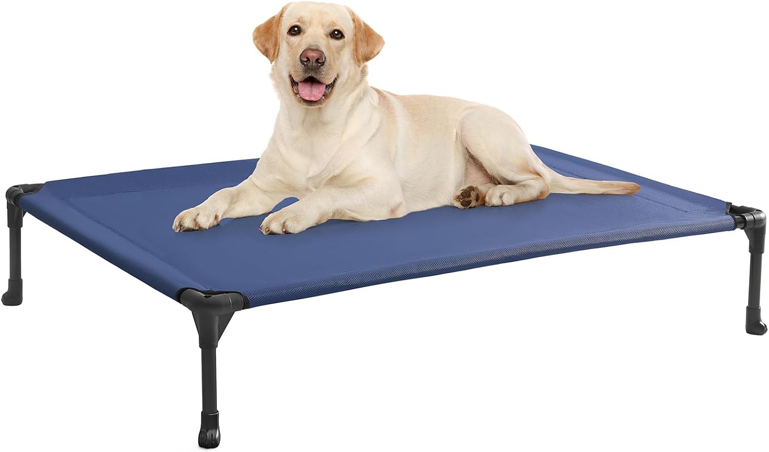 Poupipets Breathable Elevated Dog Cot with Teslin Mesh and Stable Steel Frame