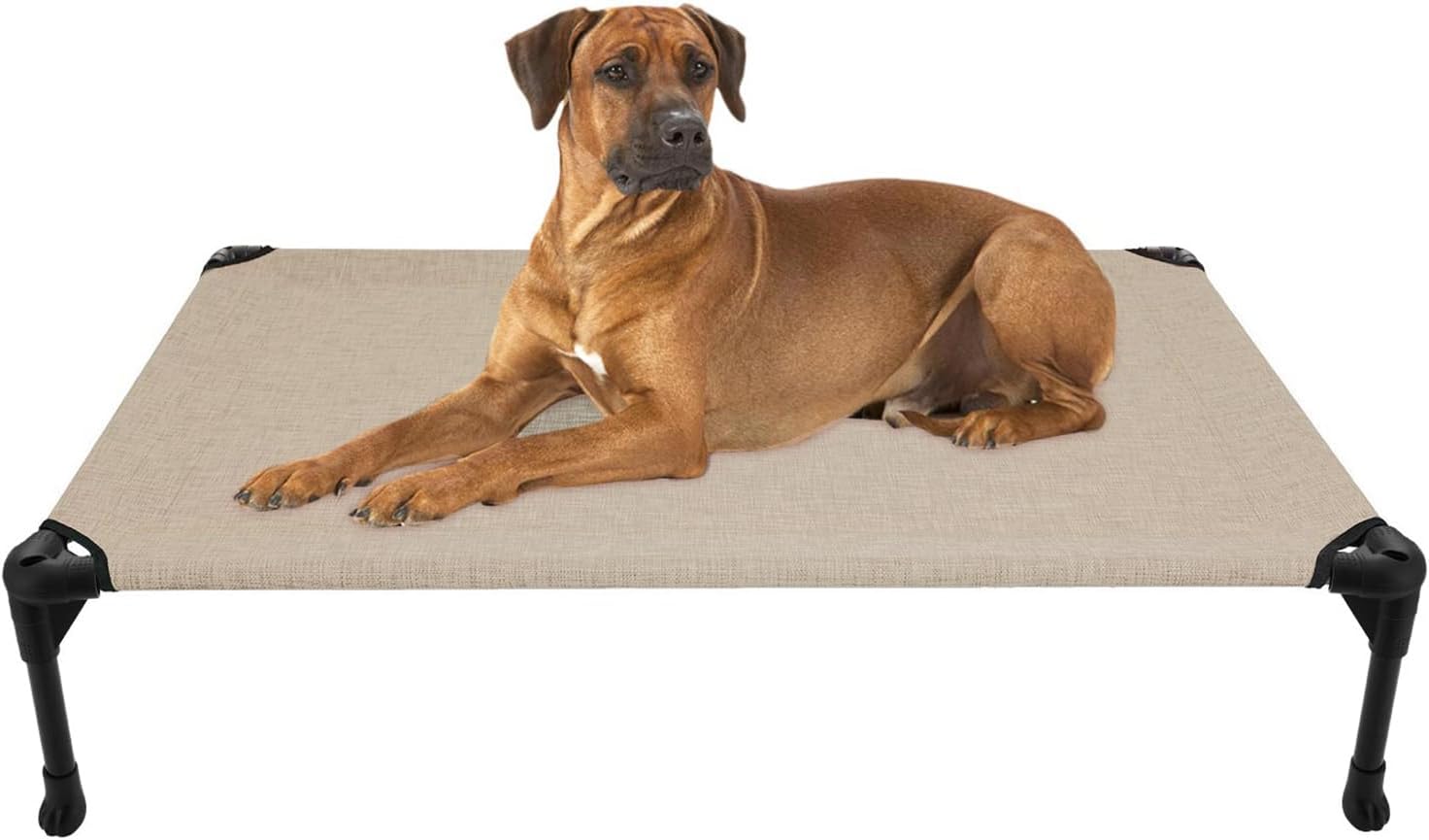 Poupipets Breathable Elevated Dog Cot with Teslin Mesh and Stable Steel Frame