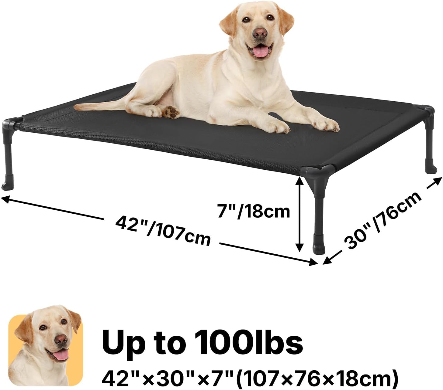 Poupipets Breathable Elevated Dog Cot with Teslin Mesh and Stable Steel Frame