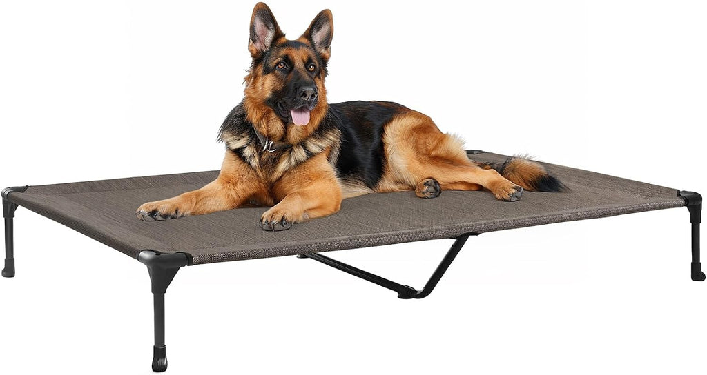 Poupipets Breathable Elevated Dog Cot with Teslin Mesh and Stable Steel Frame