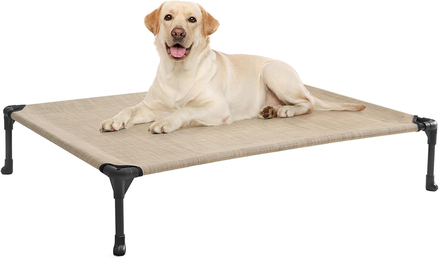 Poupipets Breathable Elevated Dog Cot with Teslin Mesh and Stable Steel Frame