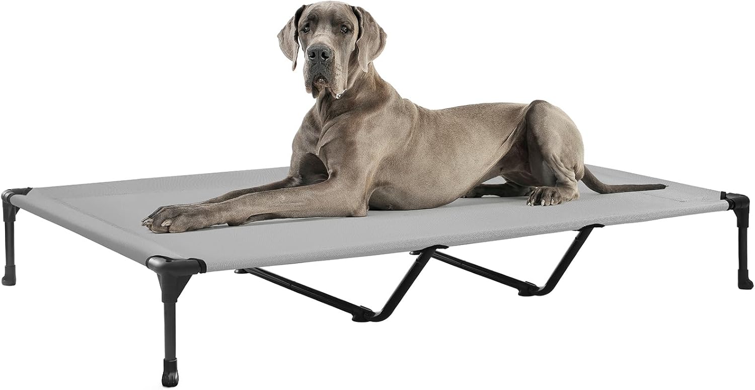 Poupipets Breathable Elevated Dog Cot with Teslin Mesh and Stable Steel Frame