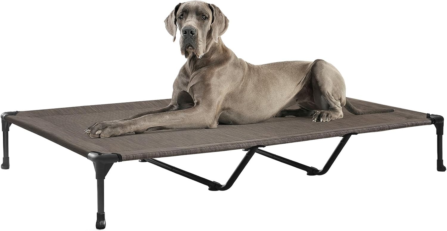 Poupipets Breathable Elevated Dog Cot with Teslin Mesh and Stable Steel Frame