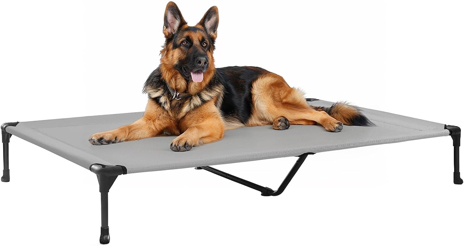 Poupipets Breathable Elevated Dog Cot with Teslin Mesh and Stable Steel Frame