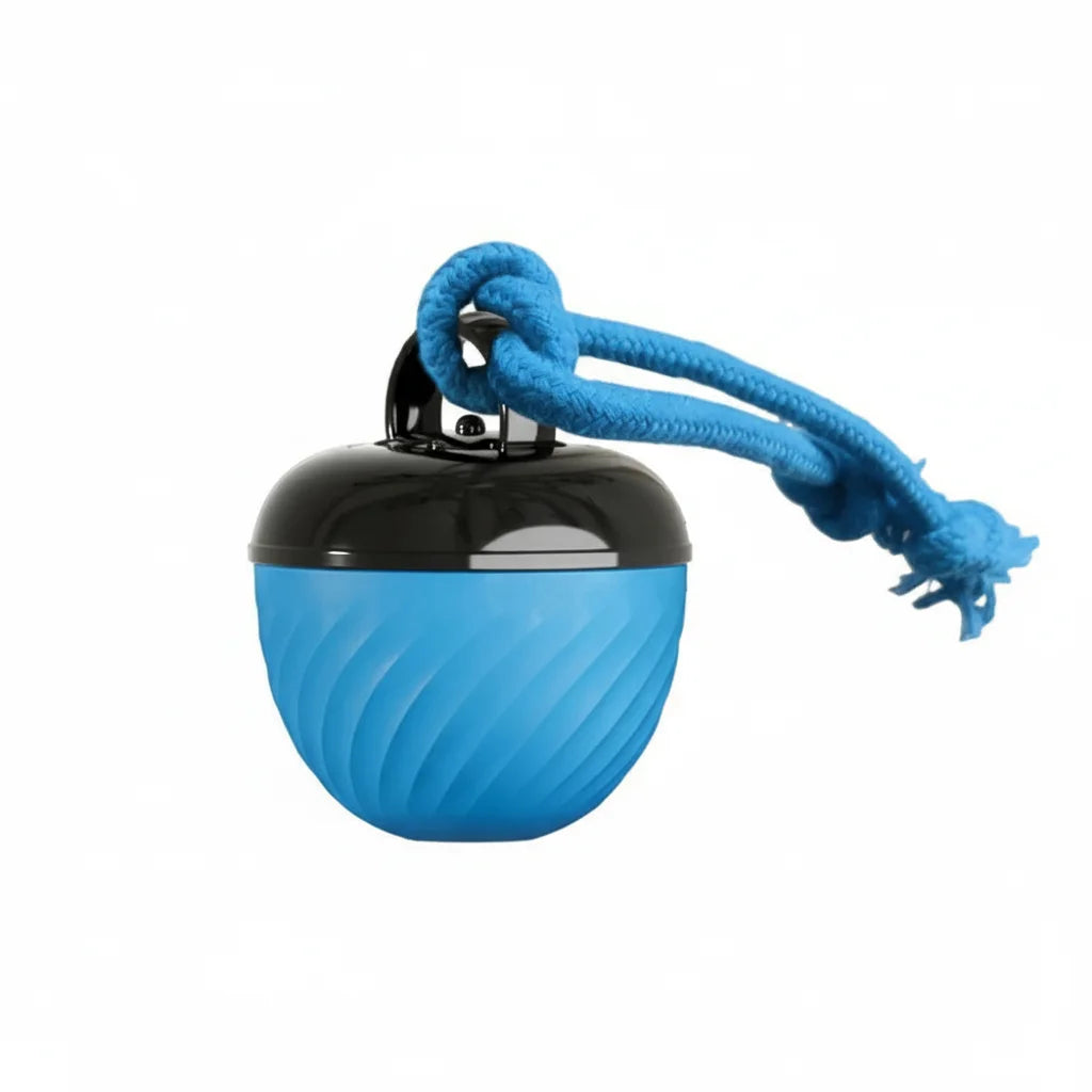 Dailypets Automatic Moving Ball for Pets with USB Rechargeable Interactive Play Fun