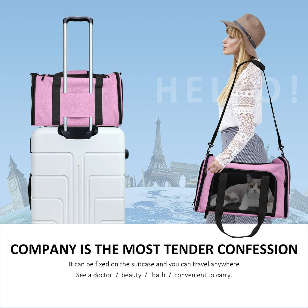 Poupipets Premium Soft Pet Carrier with Mesh Windows and Cozy Travel Mat