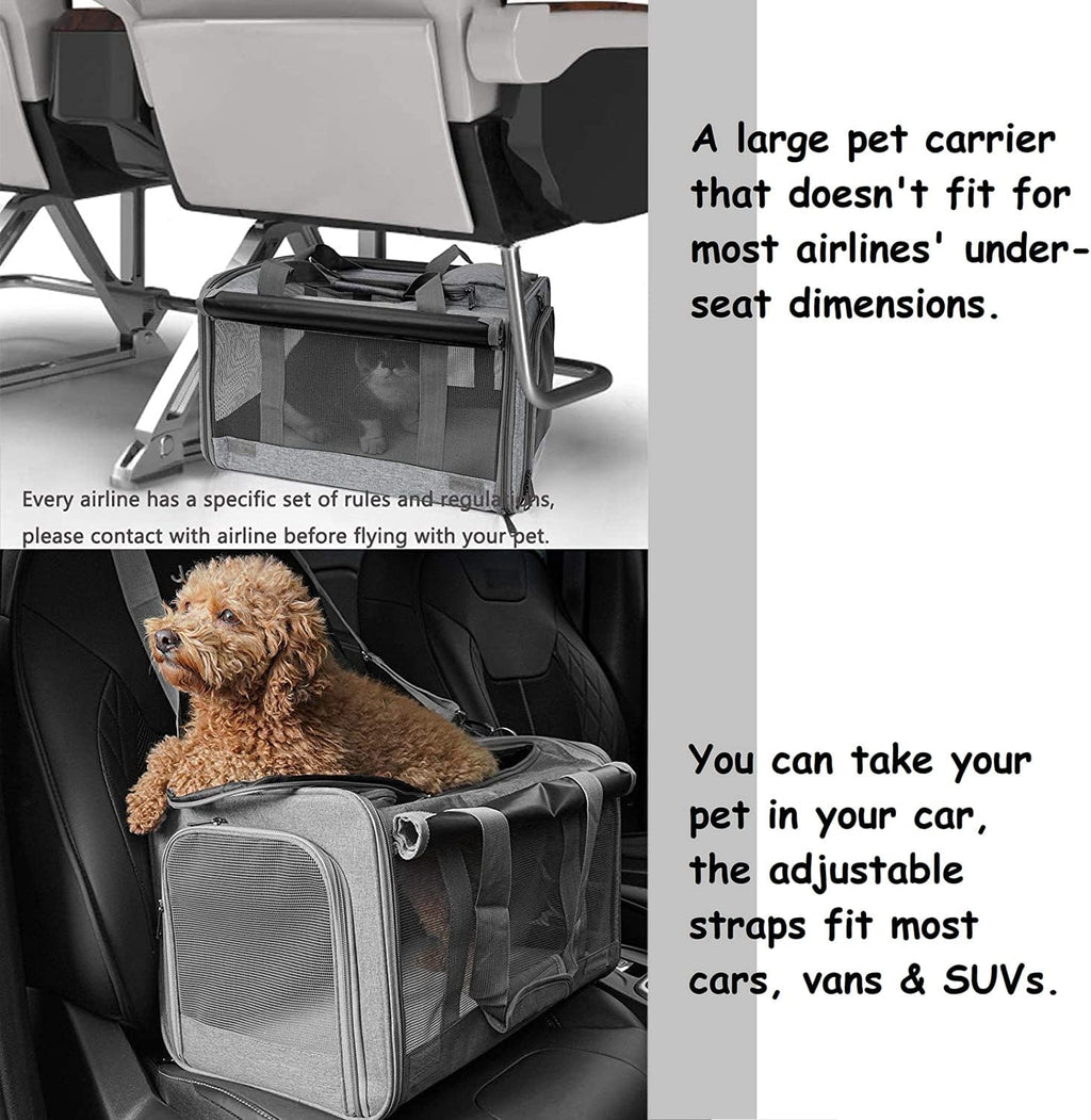 Poupipets Large Pet Travel Bag with Mesh Windows and Dual Entry for Pets up to 20 lbs