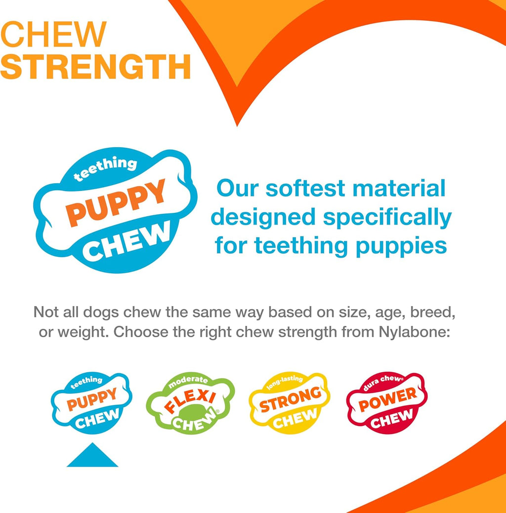 Dailypets Puppy Teething Chew Toy with Gum Massaging Texture and Bacon Flavor