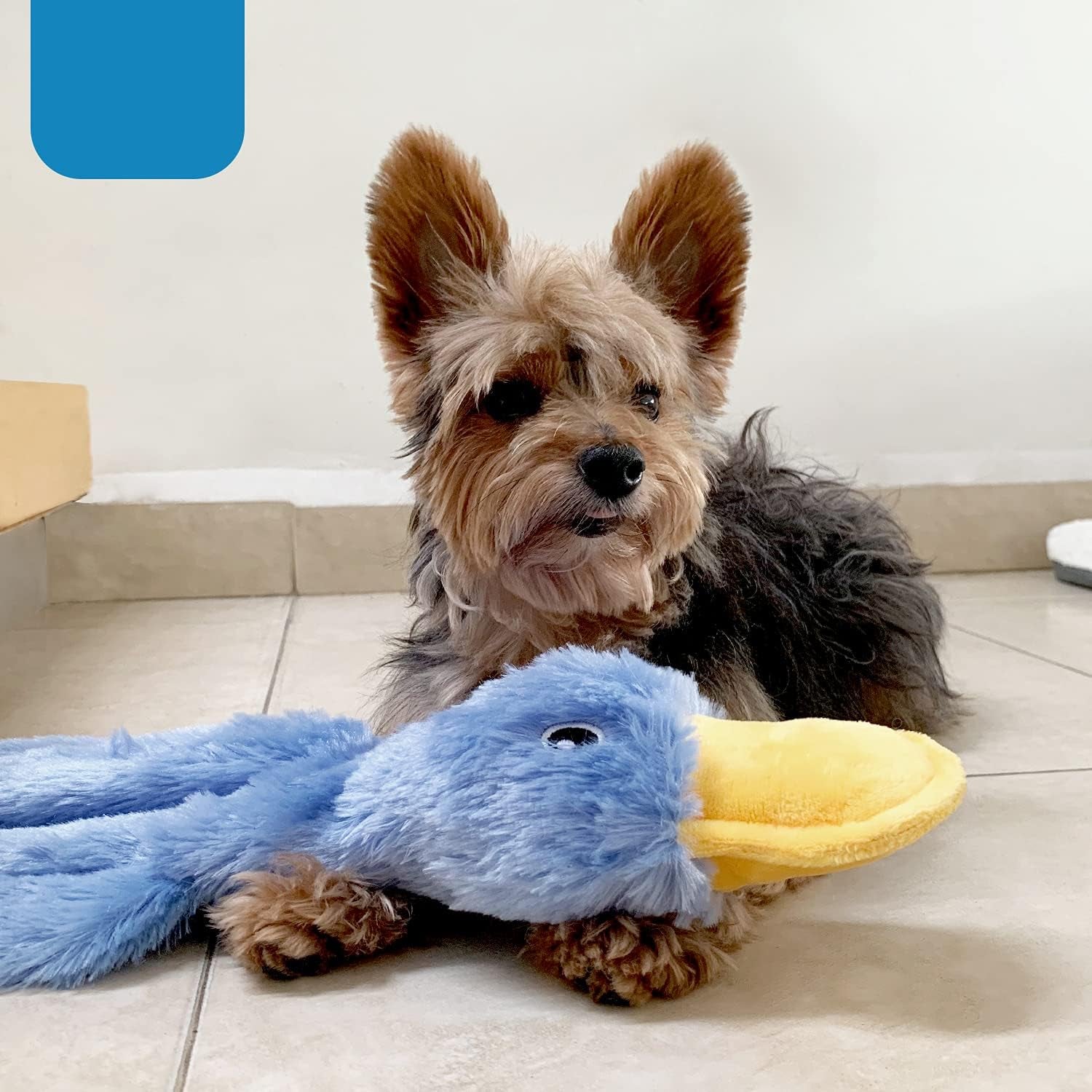 Dailypets Stuffing-Free Duck Dog Toy with Crinkle Sound for Interactive Fetch and Play