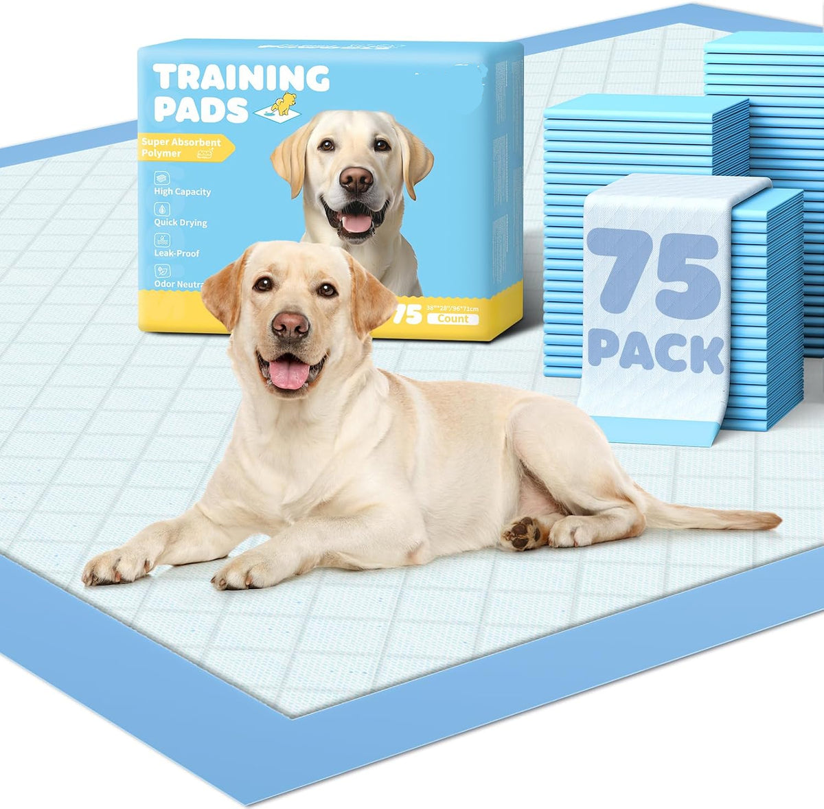 Poupipets Extra Large 6-Layer Leak-Proof Puppy Training Pads 34 x 28 Inch Quick-Dry 100 Pack