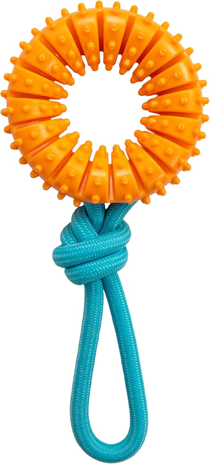 Dailypets Freezable Puppy Teething Stick Toy for Cooling Chew Relief and Gentle Play