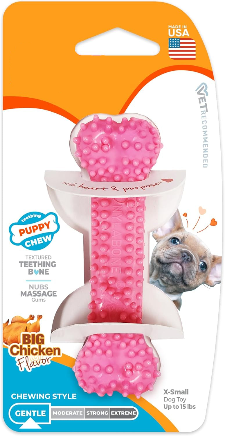 Dailypets Puppy Teething Chew Toy with Gum Massaging Texture and Bacon Flavor