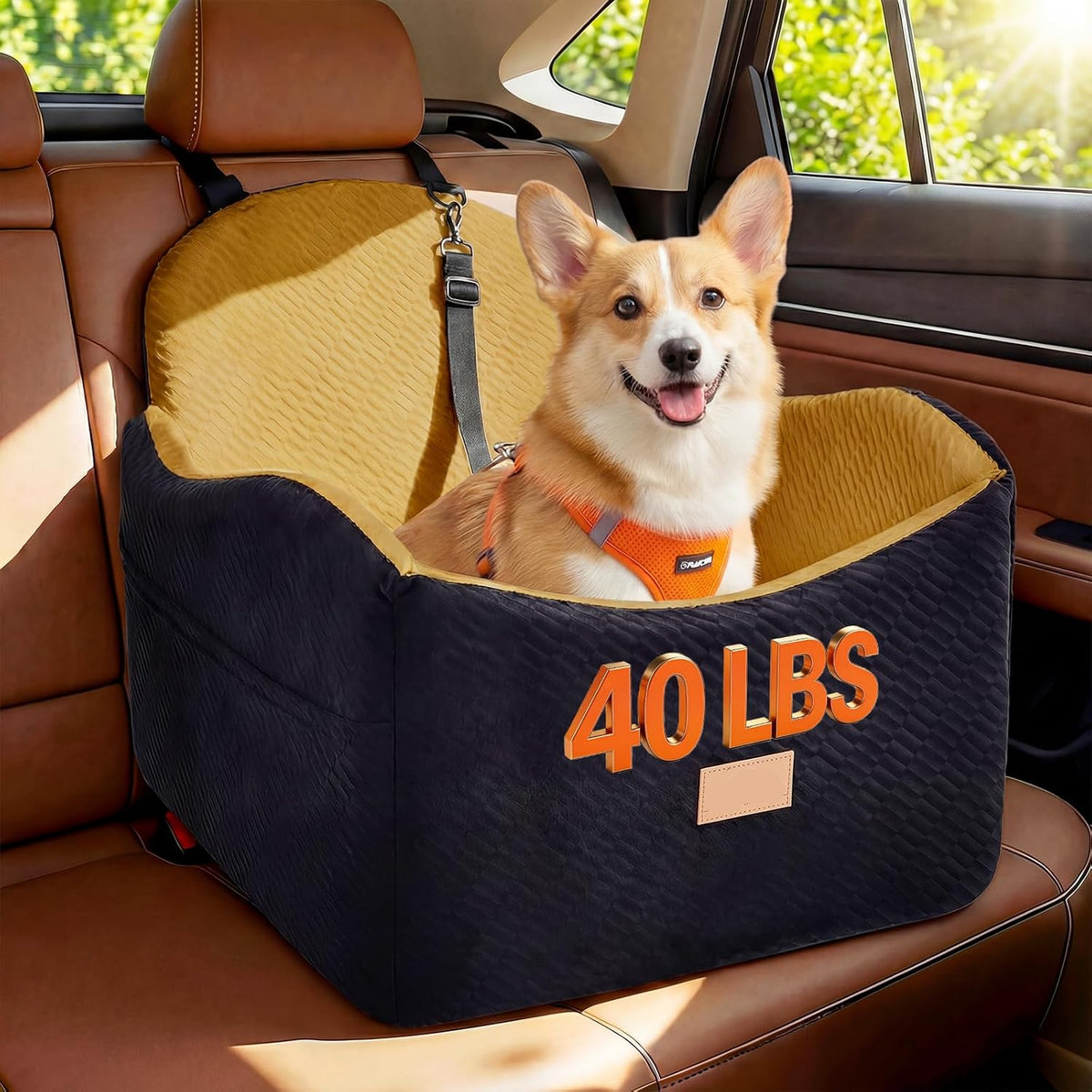 Poupipets Dog Booster Seat for Small and Medium Dogs with Soft Cushion and Safety Strap