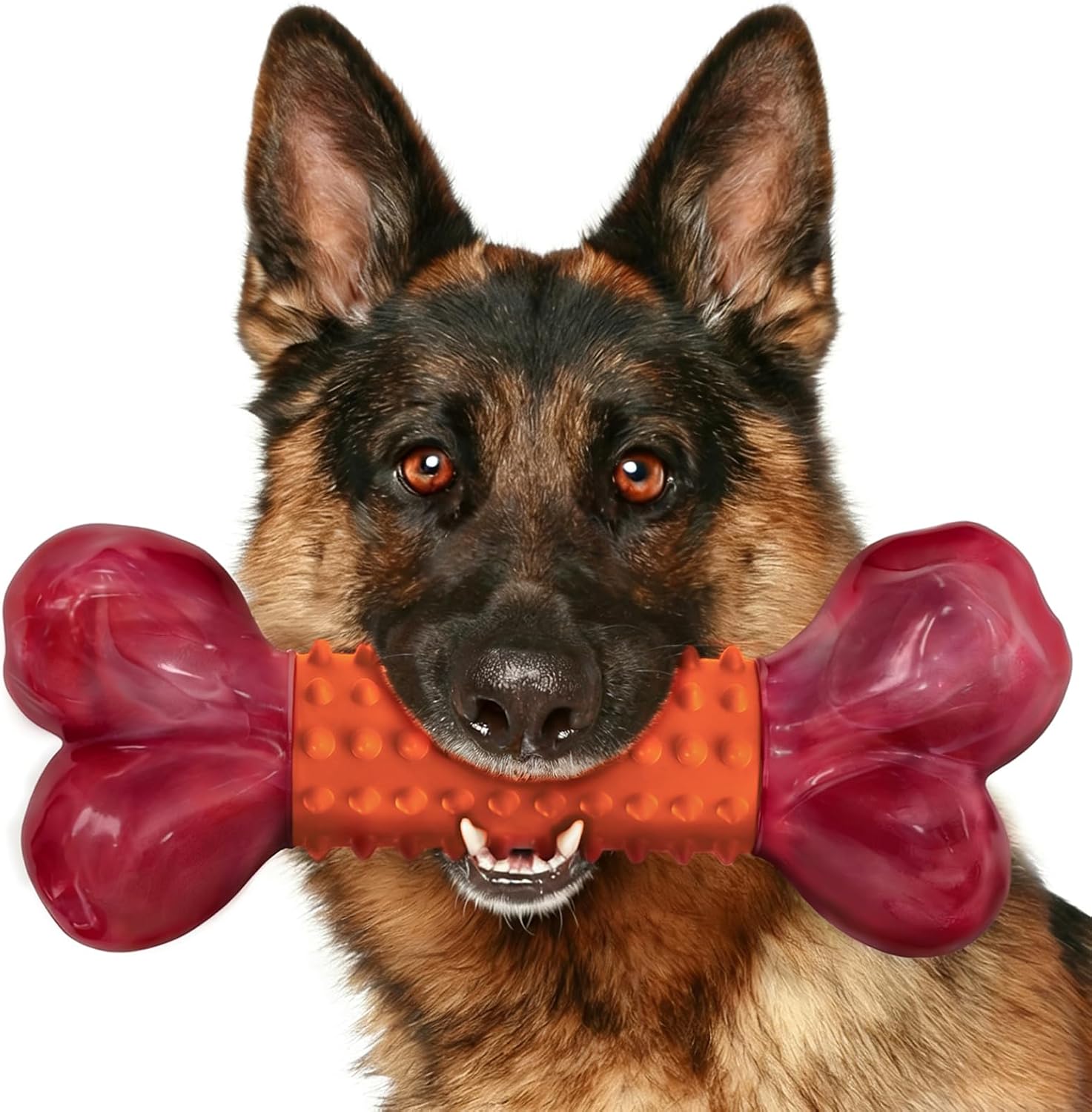 Dailypets Beef Flavored Dog Chew Toy for Medium and Large Dogs with Dual Materials