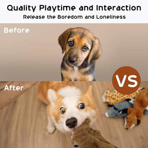 Dailypets 5 Pack Plush Dog Toys with Crinkle Fabric and Dual Squeakers for All Dogs