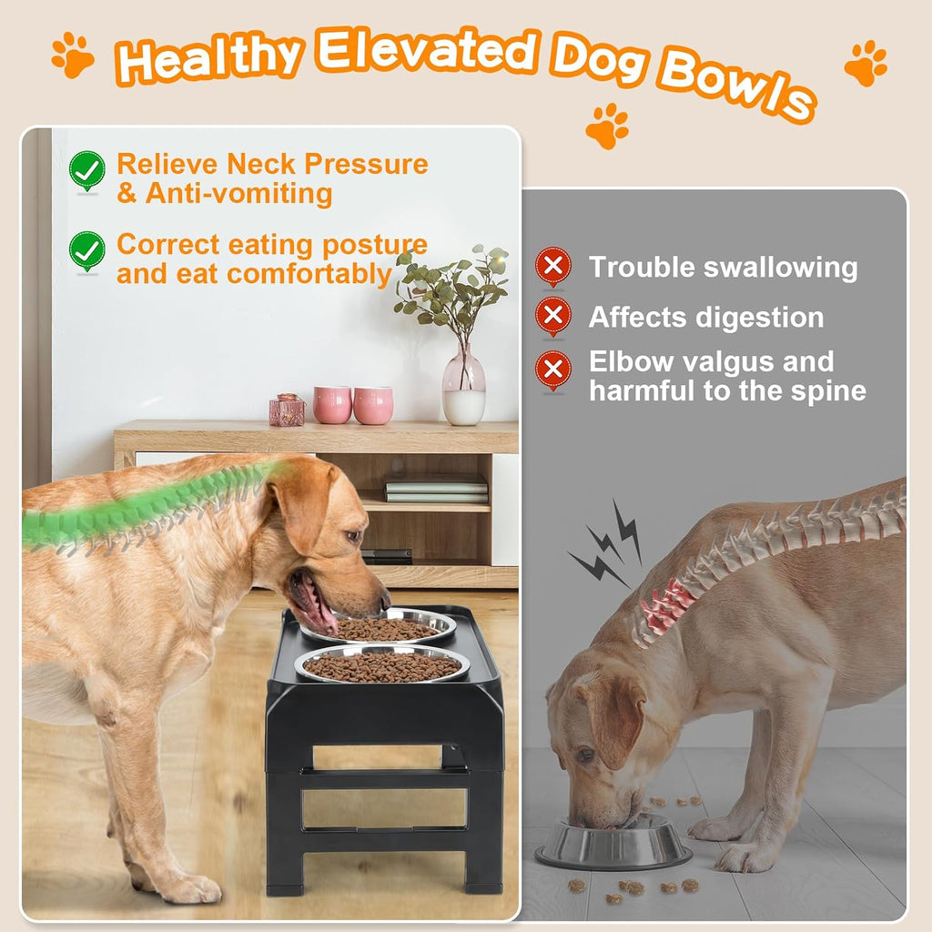 Poupipets Adjustable Elevated Dog Bowl Stand with Dual Stainless Steel Bowls for Small to Large Dogs