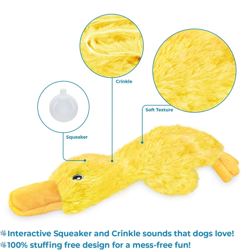 Dailypets Stuffing-Free Duck Dog Toy with Crinkle Sound for Interactive Fetch and Play