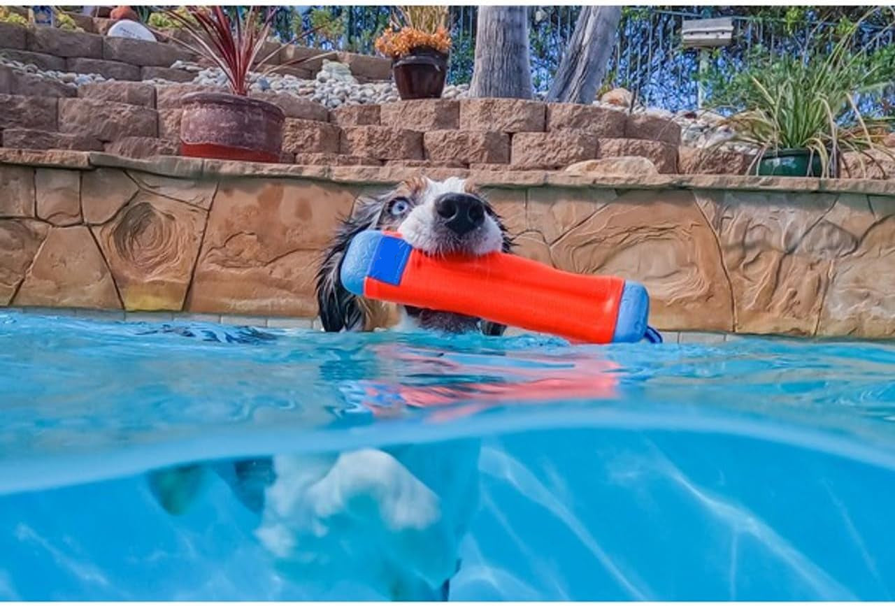 Dailypets Floating Dog Fetch Bumper with Rope Handle for Medium Dogs Water Play