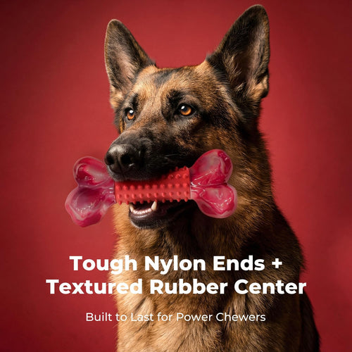 Dailypets Beef Flavored Dog Chew Toy for Medium and Large Dogs with Dual Materials
