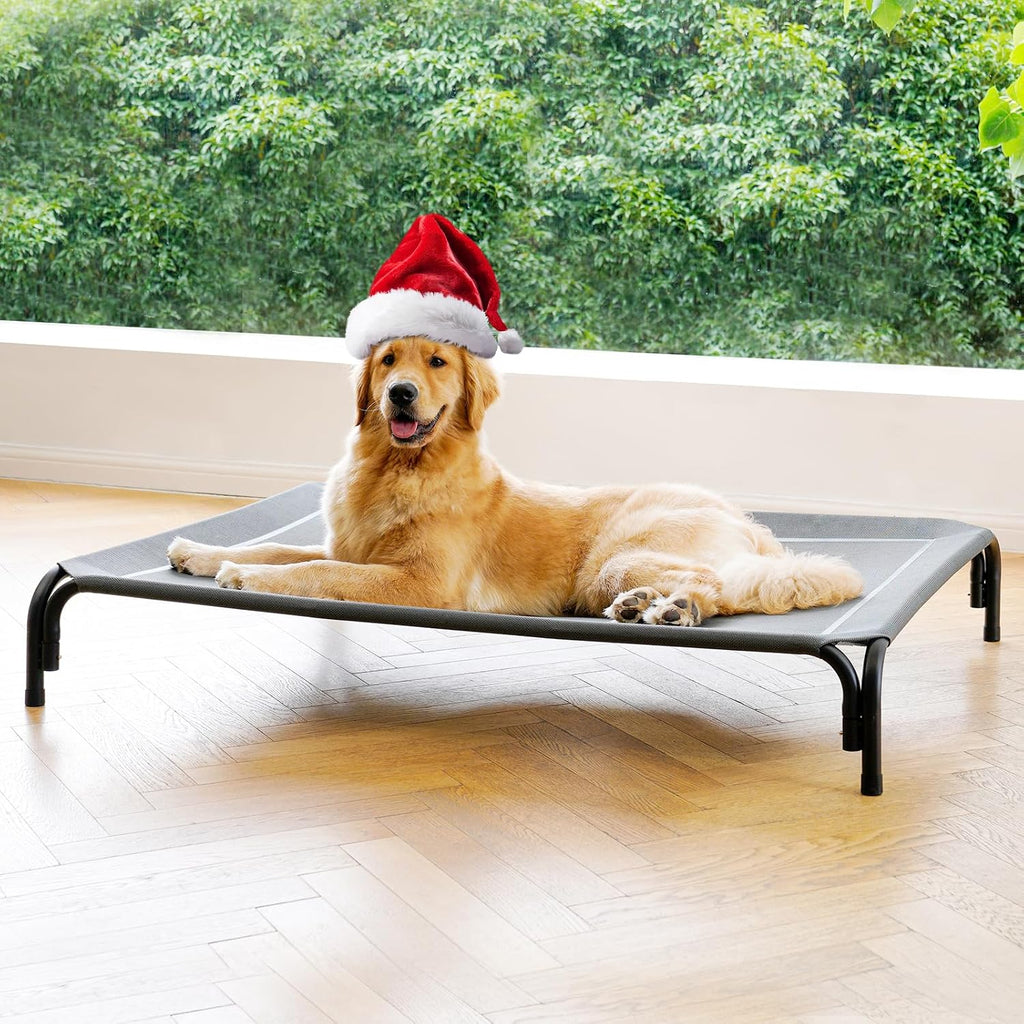 Poupipets Elevated Dog Resting Bed with Durable Frame and Easy-Clean Mesh Cover