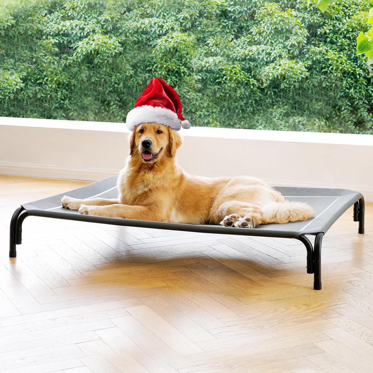 Poupipets Elevated Dog Resting Bed with Durable Frame and Easy-Clean Mesh Cover