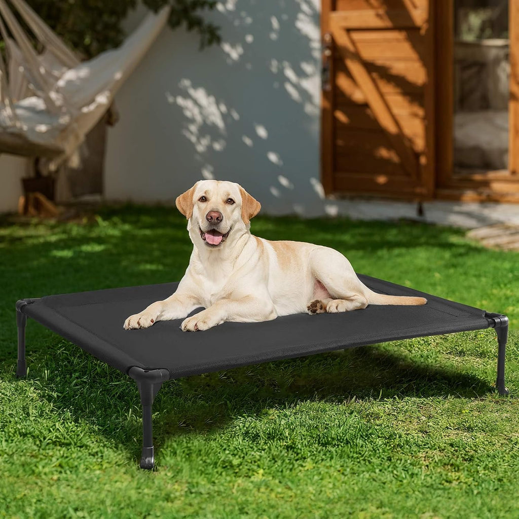 Poupipets Breathable Elevated Dog Cot with Teslin Mesh and Stable Steel Frame